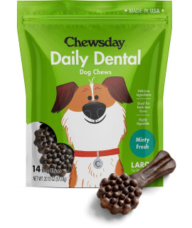 Chewsday Large Minty Fresh Daily Dental Dog Chews, Made in The USA, Natural Highly-Digestible Oral Health Treats for Healthy Gums and Teeth - 14 Count