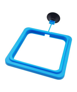 Fish Feeding Ring Floating Food Feeder Circle with Suction Cup Easy to Install Aquarium (Square)