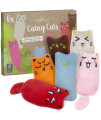 catnip Toys for cats: cat Pillow Set with 6 cat Toys with catnip - Fluffy Pillow cat Toy with catnip - Kitten Toys - cat Accessories by Pretty Kitty