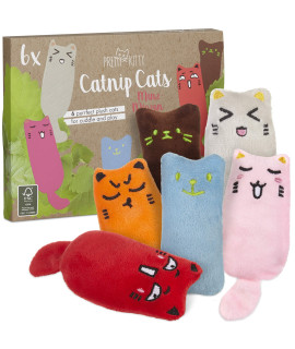 catnip Toys for cats: cat Pillow Set with 6 cat Toys with catnip - Fluffy Pillow cat Toy with catnip - Kitten Toys - cat Accessories by Pretty Kitty