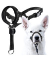 goodBoy Dog Head Halter with Safety Strap - Stops Heavy Pulling On The Leash - Padded Headcollar for Small Medium and Large Dog Sizes - Head collar Training guide Included (Size 3, Black)