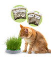 R&R SHOP - Double Seeds catnip Kit - germinating Pot, 2 Types of catnip, Stimulant and Digestive, 4 sachets of Seeds and Substrate, Suitable for All cats