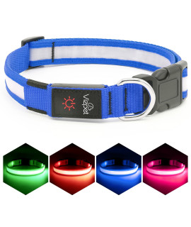 Vizpet LED Dog Collar, Light Up Dog Collar Adjustable USB Rechargeable Super Bright Safety Light Glowing Collars for Dogs