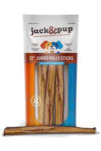 Jack&Pup 12 Bully Sticks for Dogs Jumbo Odor Free Bully Sticks for Large Dogs All Natural Beef Pizzle Sticks (12 Jumbo, 3 Pack)