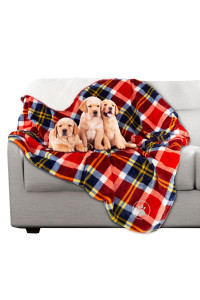 PETMAKER Waterproof Pet Blanket - 50x60 Reversible Plaid Dog Throw Protects Couch, Car, Bed from Spills, Stains or Fur - Dog and Cat Blankets (Red)