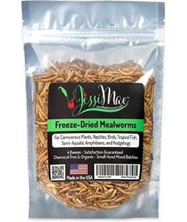Jessi Mae - Freeze Dried Mealworms - Natural Protein Meal Supplement for Chickens, Birds, Venus Fly Trap, Reptiles, Hedgehogs and More - Carnivorous Plant Food - 4 OZ
