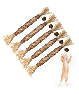 BAWAN Catnip Toys? Silvervine for Cats: Cute Cat & Kitten Toys for Indoor Cats Interactive? Cat & Kitten Teething Chew Toys for Aggressive Chewers? Silvervine Sticks Cat Dental Toy (5PCS)