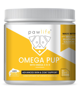 Pawlife Dog Fish Oil Supplements - 60 Omega 3 Fish Oil Dog Vitamins, Veterinarian Formulated Itching Relief for Dogs, Natural Omega 3 Fish Oil for Dogs, Dog Skin and Coat Supplement (Salmon Flavor)