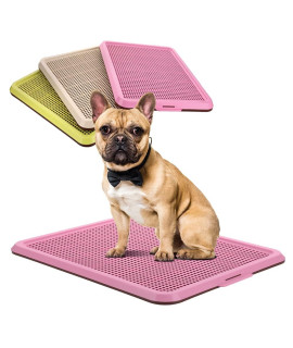 BANU Puppy Pee Pad Holder Indoor Outdoor Dog Potty Toilet Training Tray 20 x 16 for Small and Medium Dogs (Pink)