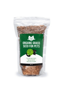 The cat Ladies 100% Organic cat grass Seed (Non gMO) 16Ounce