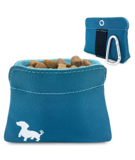 Swaggly Pocket Sized Dog Treat Pouch - Treat Pouches for Pet Training - Dog Treat Pouch with Magnetic Closure - Dog Walking Accessories - Turquoise