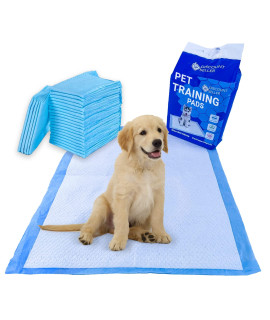 Discount Seller Puppy Pads Large Size Pack of 50 (60x60 cm) Super Absorbent, Multi Layered Leakproof Odour Locking & Attractant Disposable Puppy Training Pads