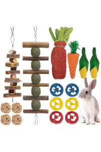 16 PCS Rabbit Toys Bunny Chew Toys for Teeth, Rabbit Hamster Chew Toys for Dental Health 100% Natural Apple Wood Grass Ball String Loofah Carrot Toys for Chinchillas, Guinea Pigs, Hamsters