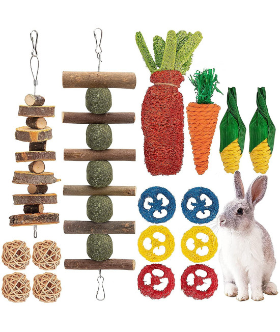 16 PCS Rabbit Toys Bunny Chew Toys for Teeth, Rabbit Hamster Chew Toys for Dental Health 100% Natural Apple Wood Grass Ball String Loofah Carrot Toys for Chinchillas, Guinea Pigs, Hamsters