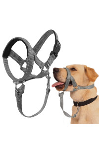Dog Head Collar, No Pull Head Halter with Soft Padding, Durable Headcollar for Medium Large Dogs, Free Training Guide Included