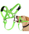 Dog Head Collar, No Pull Head Halter with Soft Padding, Durable Headcollar for Medium Large Dogs, Free Training Guide Included (S (Snout: 7.1-10.2), Green Nylon/Black Padding)