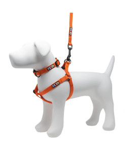 Pawtitas Value Bundle Set | Small Step in Dog Harness + Small Dog Collar + Extra Small/Small 6ft Dog Leash - Orange Set
