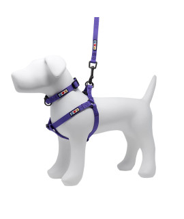 Pawtitas Value Bundle Set | Medium Step in Dog Harness + Medium Dog Collar + Medium/Large 6ft Dog Leash - Purple Set