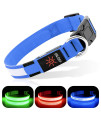 BSEEN Light Up Dog Collar - Reflective LED Light Puppy Collar Rechargeable Waterproof Glow in The Dark Dog Collars for Small Medium Large Dogs (Royal Blue, Medium)