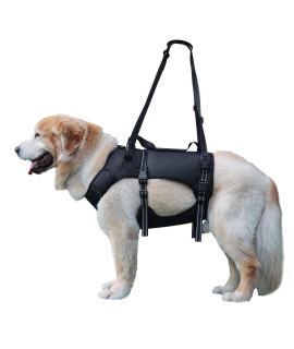 Dog Lift Harness, Full Body Support & Recovery Sling, Pet Rehabilitation Lifts Vest Adjustable Breathable Straps for Old, Disabled, Joint Injuries, Arthritis, Paralysis Dogs Walk (Black, XL)