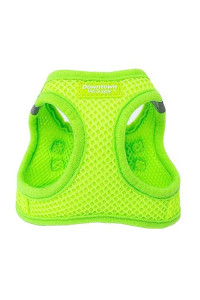 Downtown Pet Supply Step in Dog Harness for Small Dogs No Pull, XX-Small, Atomic Yellow - Adjustable Harness with Padded Mesh Fabric and Reflective Trim - Buckle Strap Harness for Dogs