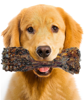 Lively Tails Liver Coated Dog Bones for Aggressive Chewers, Natural Dog Bones for Large Dogs, Beef Shin Large Dog Bones for Medium Dogs, Bones for Dogs Long Lasting, Dog Chew Bones - 1 Count