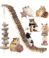 Hamster Toy Hamster Accessories Guinea Pig Chew Toy Hamster Suspension Bendy Long Bridge Toy Chinchilla Cage Accessories Willow Ball Play Set Stuff for Dwarf Syrian Chinchillas Gerbils Mice Mouse