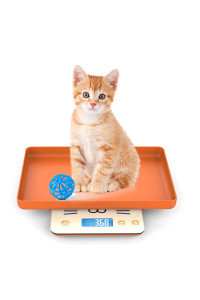 Pet Scale for Newborn Puppy and Kitten, Pet Scale with Detachable Tray for Dog Whelping Nursing, Weigh Pets Baby in Grams, 33lbs (? Gram) (Orange)
