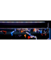 Twinstar Aquarium LED Light B-Line (120B)