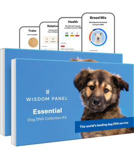 Wisdom Panel Essential Dog DNA Kit: Most Accurate Test for 365+ Breeds, 30 Genetic Health Conditions, 50+ Traits, Relatives, Ancestry - 2 Pack