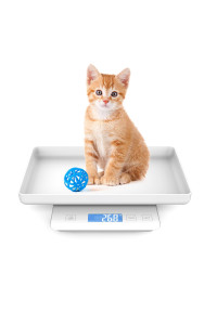 Pet Scale for Newborn Puppy and Kitten, Pet Scale with Detachable Tray for Dog Whelping Nursing, Weigh Pets Baby in grams, 33lbs (A1 gram) (White)