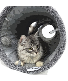 HeyKitten 12 x 50 Collapsible Crinkle Cat Play Tunnel, Hide-and-Seek Pet Toys for Indoor Kittens, Puppies, Bunnies, Rabbits and Small Dogs