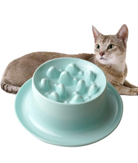 Raised Slow Feeder Cat Bowl, Fish Pool Design Elevated Slow Feeder Dog Bowls, Fun Interactive Bloat Stop Cat Slow Feeder Dry Food, Reduces Neck Burden Slow Down Eating Anti Vomiting Non-Slip No Spill