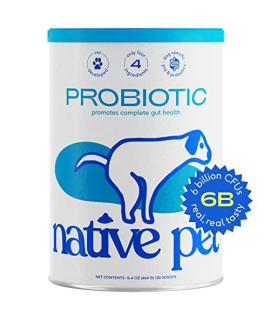 Native Pet Probiotic for Dogs - Vet Created Powder Digestive Issues Dog + Prebiotic Bone Broth 232 Gram 6 Billion CFU- Probiotics Love! (16.4 oz)