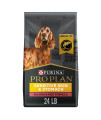Purina Pro Plan Sensitive Skin & Stomach Dog Food, Dry Dog Food for Senior Dogs Adult 7+ Salmon & Rice Formula - 24 lb. Bag