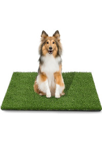 TAOAT 39.4 x 31.5 Inches Fake Grass Pee for Dog Artificial Grass Rug Pad for Puppy Potty Washable Grass Mat for Pet Training with Drainage Hole and Easy to Clean