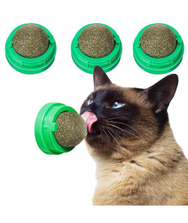 Backagin 3 Pcs Catnip Ball, Catnip Wall Toys, Edible Kitty Toys for Cats Lick, Kitten Chew Toys, Teeth Cleaning Dental Cat Ball Toy, Cat Toy Interactive Ball (Green)