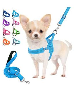 Lukovee Dog Harness and Leash Set, Soft Padded Small Dog Harness, Neck & Chest Adjustable Reflective Vest Puppy Harness with 4ft Lightweight Anti-Twist Dog Leash for Small Dogs (Light Blue, Small)