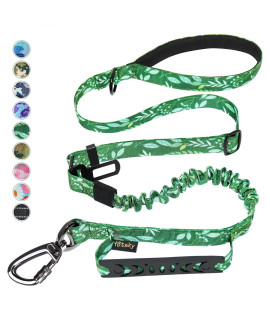 Hotsky Heavy Duty Dog Leash,Tactical Bungee Dog Leash with Car Seat Belt and Double Handle for Medium Large Dogs, 4Ft 6Ft Adjustable Shock Absorbing Strong Dog Leashes for Dog Training, Walking,Green