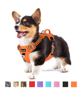 SlowTon No Pull Dog Harness, Heavy Duty No Choke Pet Harness with 2 Leash Clips and Easy Control Vertical Handle, Adjustable Soft Padded Dog Vest for Small, Medium and Large Dogs (Orange, Small)