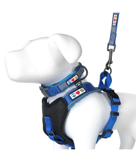Pawtitas Value Bundle Set | Large Padded Dog Harness + Medium Padded Dog Collar + Large Padded Leash - Blue Set