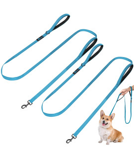 PuppyDoggy 2 Pack Dog Leash for Small to Medium Dogs 6 ft with 3 Reflective Stitching and 2 Traffic Padded Handles Dog Lead/Rope, Pet Leash for Running Walking Training (6 ft x 0.6 in - Blue 2 Pack)