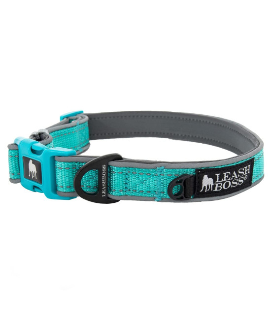 Leashboss Adjustable Reflective Dog collar, Quick-Release Buckle and Reflective Piping and Threads for Small, Medium and Large Dogs (Large - Aqua 165-25 Neck x 1 Wide)