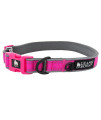 Leashboss Adjustable Reflective Dog collar, Quick-Release Buckle and Reflective Piping and Threads for Small, Medium and Large Dogs (Large - Pink 165-25 Neck x 1 Wide)