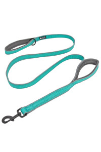 Leashboss Double Handle Dog Leash, 6 Ft Reflective Dog Leash with Two Padded Handles for Large Dogs or Medium Dogs That Pull (Aqua)