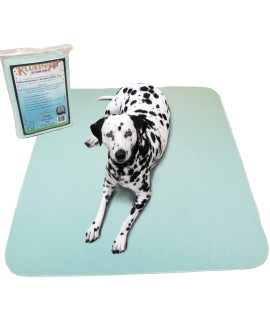Kluein Pet Washable Pee Pads for Dogs Washable Puppy Pads, Waterproof Potty Pads, Whelping Pads, Puppy Playpen, Travel, Dog Training Pads 2-Pack 36x41in Aqua