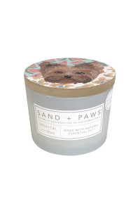 Sand + Paws Scented Candle - Tropical Citrus - Additional Scents and Sizes -Luxurious Air Freshening Jar Candles Neutralize pet Odors and Enhance Home d?or - 100% Cotton Lead-Free Wicks - 12 oz