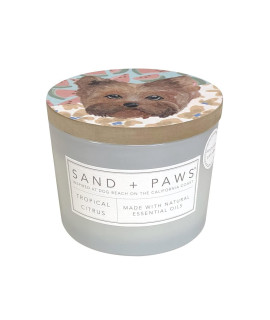 Sand + Paws Scented Candle - Tropical Citrus - Additional Scents and Sizes -Luxurious Air Freshening Jar Candles Neutralize pet Odors and Enhance Home d?or - 100% Cotton Lead-Free Wicks - 12 oz