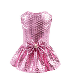 CuteBone Dog Dress Girl Puppy Skirt Cat Outfit Pet Clothes for Small Dogs Costume Birthday Gift DD11XS