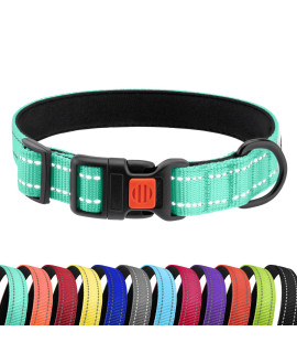 CollarDirect Reflective Padded Dog Collar for a Small, Medium, Large Dog or Puppy with a Quick Release Buckle - Boy and Girl - Nylon Suitable for Swimming (18-26 Inch, Mint Green)
